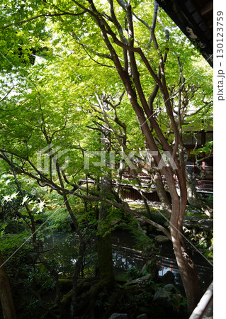 京都の寺院の庭園の風景 130123759