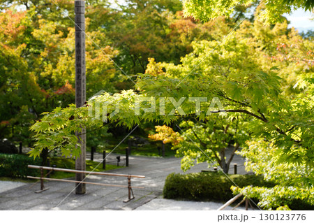 京都の寺院の庭園の風景 京都の寺院の庭園の風景 130123776