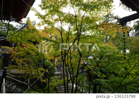京都の寺院の庭園の風景 京都の寺院の庭園の風景 130123790