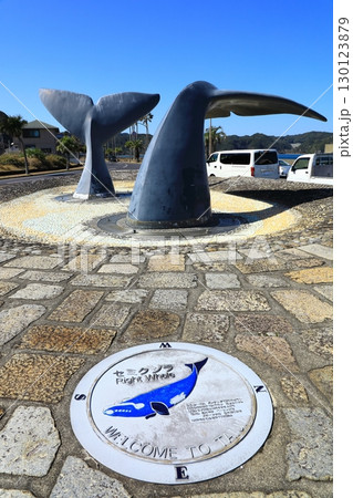 くじら浜公園 くじらのしっぽ くじら浜公園 くじらのしっぽ 130123879