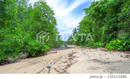 Lush Mangrove Forest on Belo Beach at High Tide 130123880