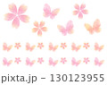 桜と蝶々 130123955