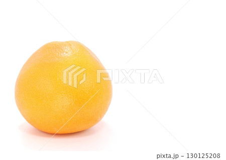 グレープフルーツ 丸ごと1個 明るい背景 グレープフルーツ 丸ごと1個 明るい背景 130125208