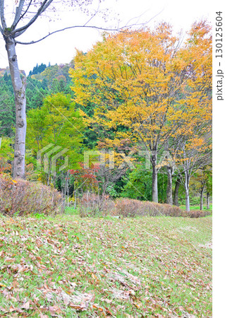 晩秋の魚沼の里 紅葉の風景 南魚沼市 晩秋の魚沼の里 紅葉の風景 南魚沼市 130125604