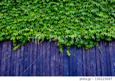 若桜宿　蔵通り　鳥取県八頭郡若桜町 130125697
