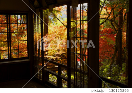 窓から見える紅葉 130125896