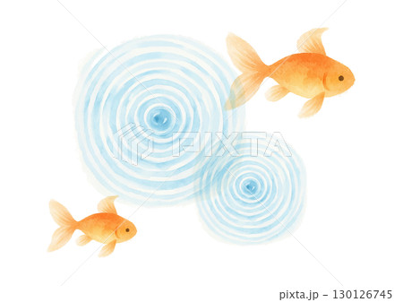 水彩風の金魚が泳ぐ涼しげなイラスト 130126745