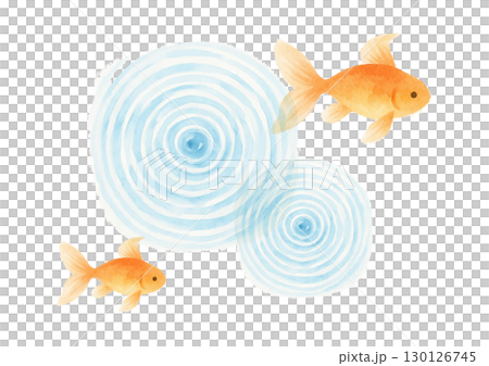 水彩風の金魚が泳ぐ涼しげなイラスト 130126745