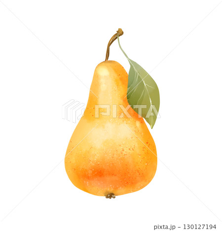 Hand-drawn illustration of a single yellow pear with a green leaf. 130127194