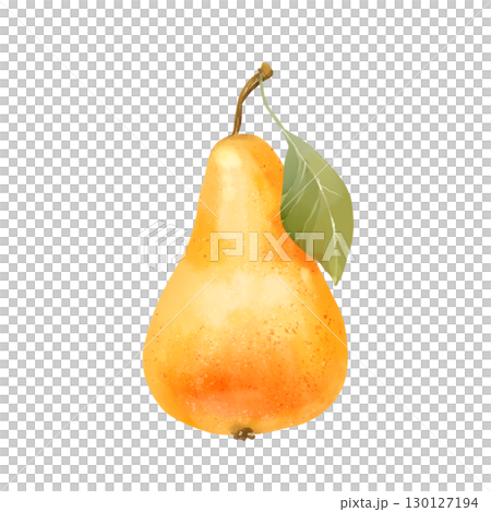 Hand-drawn illustration of a single yellow pear with a green leaf. 130127194