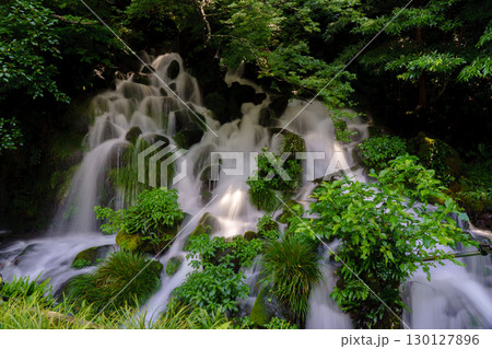 苔むした岩肌を流れるみたらしの滝　鹿児島県霧島 130127896