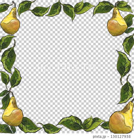 Square frame of four yellow pears and green leaves. Hand drawn illustration with watercolor and ink. Fruit, pear, plant, juice, yellow, leaves, green, frame, square, juicy 130127938
