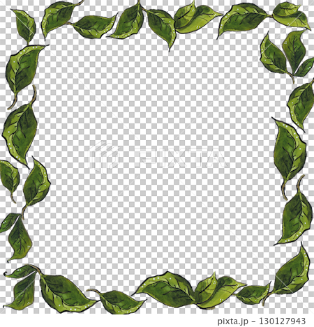 Square frame of green leaves. Hand drawn illustration, watercolor and ink. Plant, leaves, green, frame, square, juicy, summer, graphic, ink, watercolor Square frame of green leaves. Hand drawn illustration, watercolor and ink. Plant, leaves, green, frame, square, juicy, summer, graphic, ink, watercolor 130127943