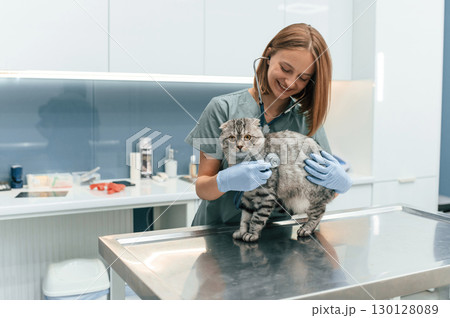 Animal is on the table, using stethoscope. Scottish fold cat in the veterinarian clinic with female doctor Animal is on the table, using stethoscope. Scottish fold cat in the veterinarian clinic with female doctor 130128089