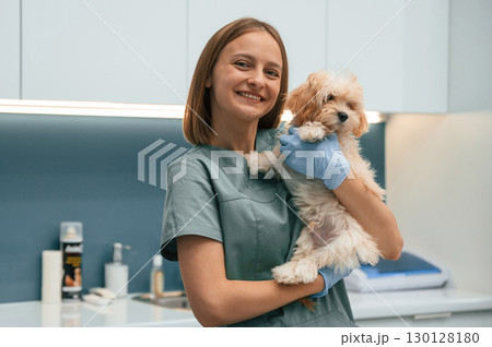 Cute little dog with woman veterinarian in the clinic 130128180