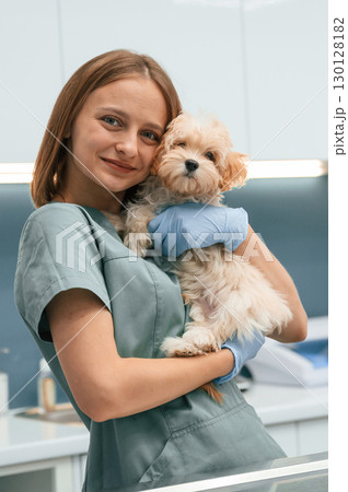 Cute little dog with woman veterinarian in the clinic 130128182
