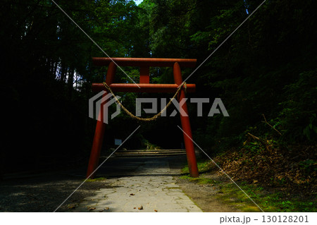 夏の溝ノ口洞穴　鹿児島県　曽於市 130128201