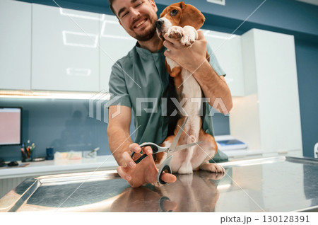 Holding scissors. Conception of castration. Dog in veterinarian clinic with male doctor Holding scissors. Conception of castration. Dog in veterinarian clinic with male doctor 130128391