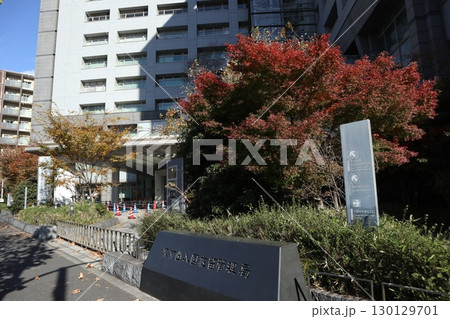 東京入国管理局 130129701