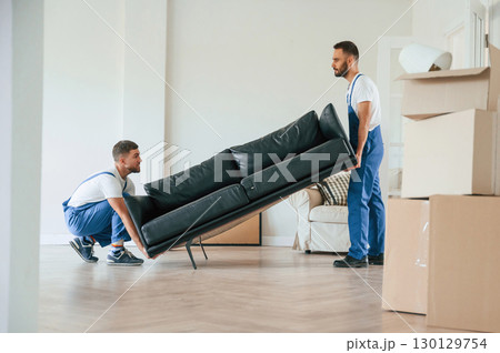 Holding heavy sofa. Two moving service employees in a room 130129754