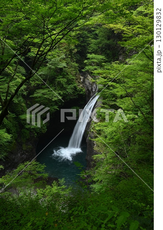 大釜の滝2(タテ)(徳島県那賀郡那賀町沢谷) 大釜の滝2(タテ)(徳島県那賀郡那賀町沢谷) 130129832