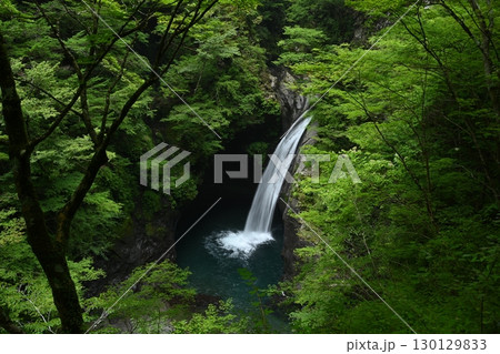 大釜の滝1(徳島県那賀郡那賀町沢谷) 大釜の滝1(徳島県那賀郡那賀町沢谷) 130129833
