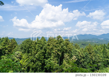 城山の山頂から見た景色（宇陀松山城） 130130109