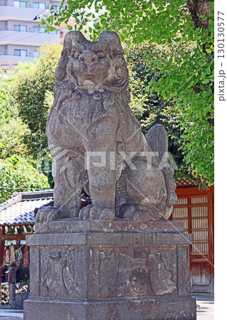 牛嶋神社（墨田） 130130577