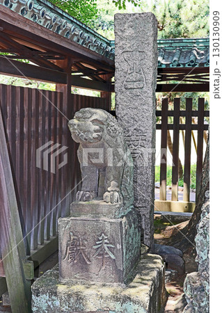 牛嶋神社（墨田） 130130909