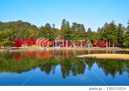 秋　毛越寺　大泉が池　 130131024