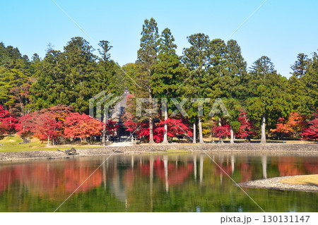 秋　毛越寺　大泉が池　 130131147
