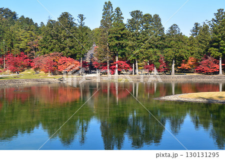 秋　毛越寺　大泉が池　 130131295
