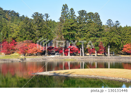 秋　毛越寺　大泉が池　 130131446