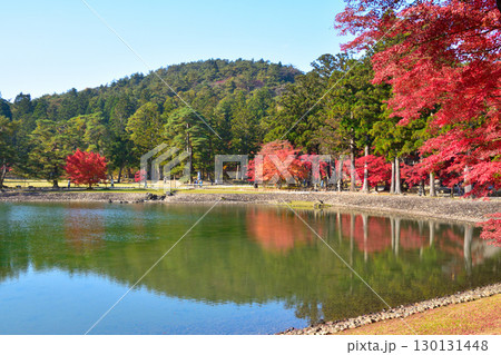 秋　毛越寺　大泉が池　 130131448