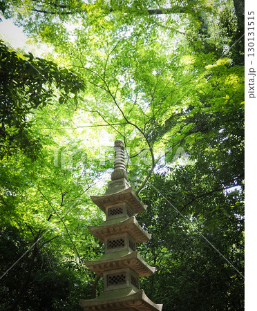 新緑に包まれる寺の石塔 130131515
