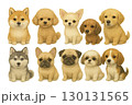 色んな犬種のイラスト 130131565