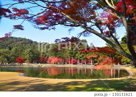 秋　毛越寺　大泉が池　 130131621