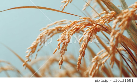 抽象的な光るウイルス 抽象的な光るウイルス 130131691