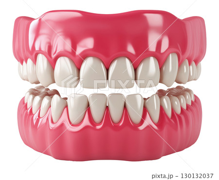 Dental Model 130132037