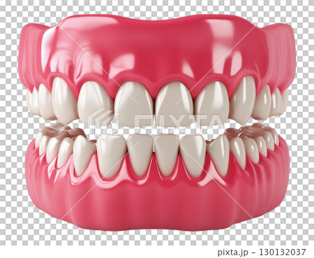Dental Model 130132037