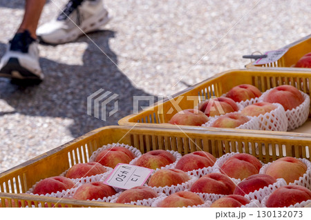 250824宮川朝市g173 250824宮川朝市g173 130132073