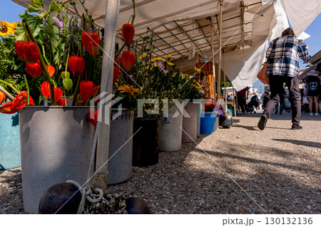 250824宮川朝市z058 130132136