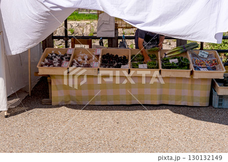 250824宮川朝市z100 130132149