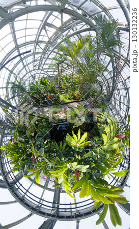 魚眼レンズで見た熱帯温室 130132236