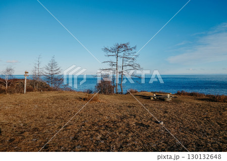 scenic view tranquil coastline with trees under clear sky at sunset. 130132648