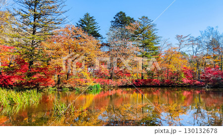 軽井沢・雲場池（秋） 130132678