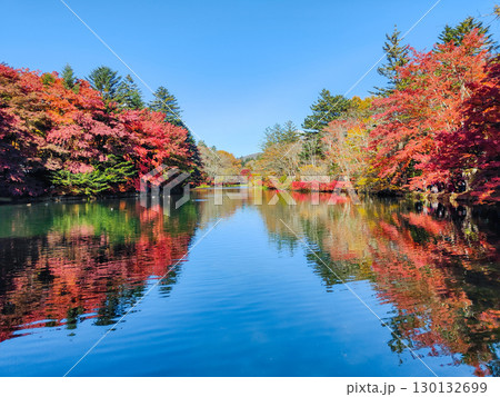 軽井沢・雲場池(秋) 軽井沢・雲場池(秋) 130132699