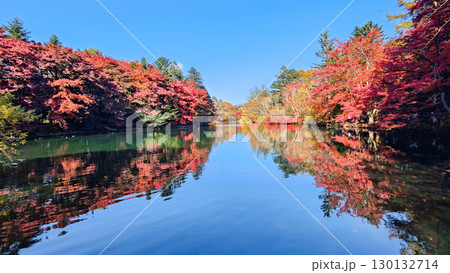 軽井沢・雲場池（秋） 130132714