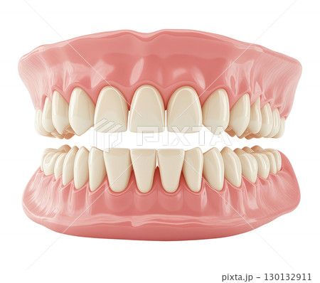 Denture Prosthesis 130132911