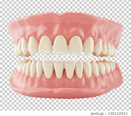 Denture Prosthesis 130132911